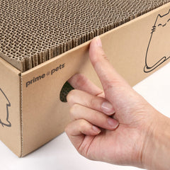 Close-up of XL pads reveals natural recycled cardboard and organic catnip.