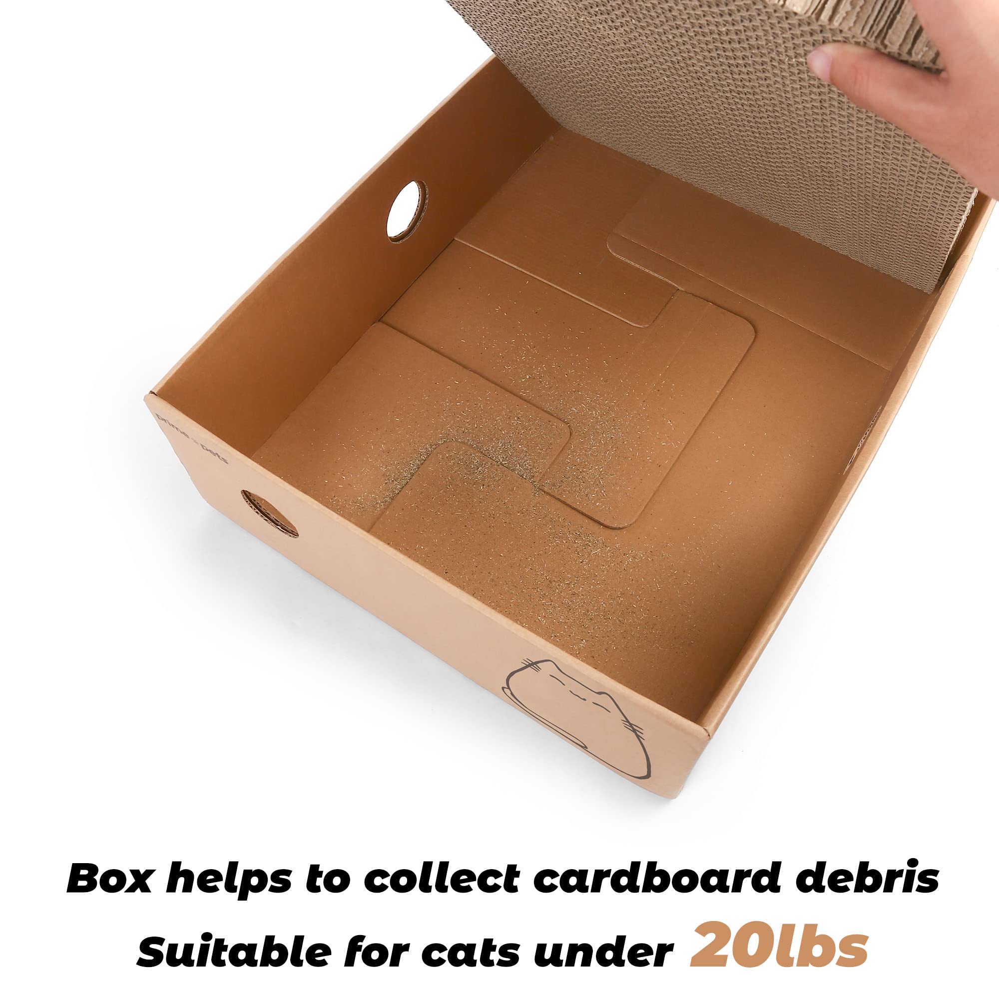 Eco-friendly recycled cardboard supports sustainable pet care.