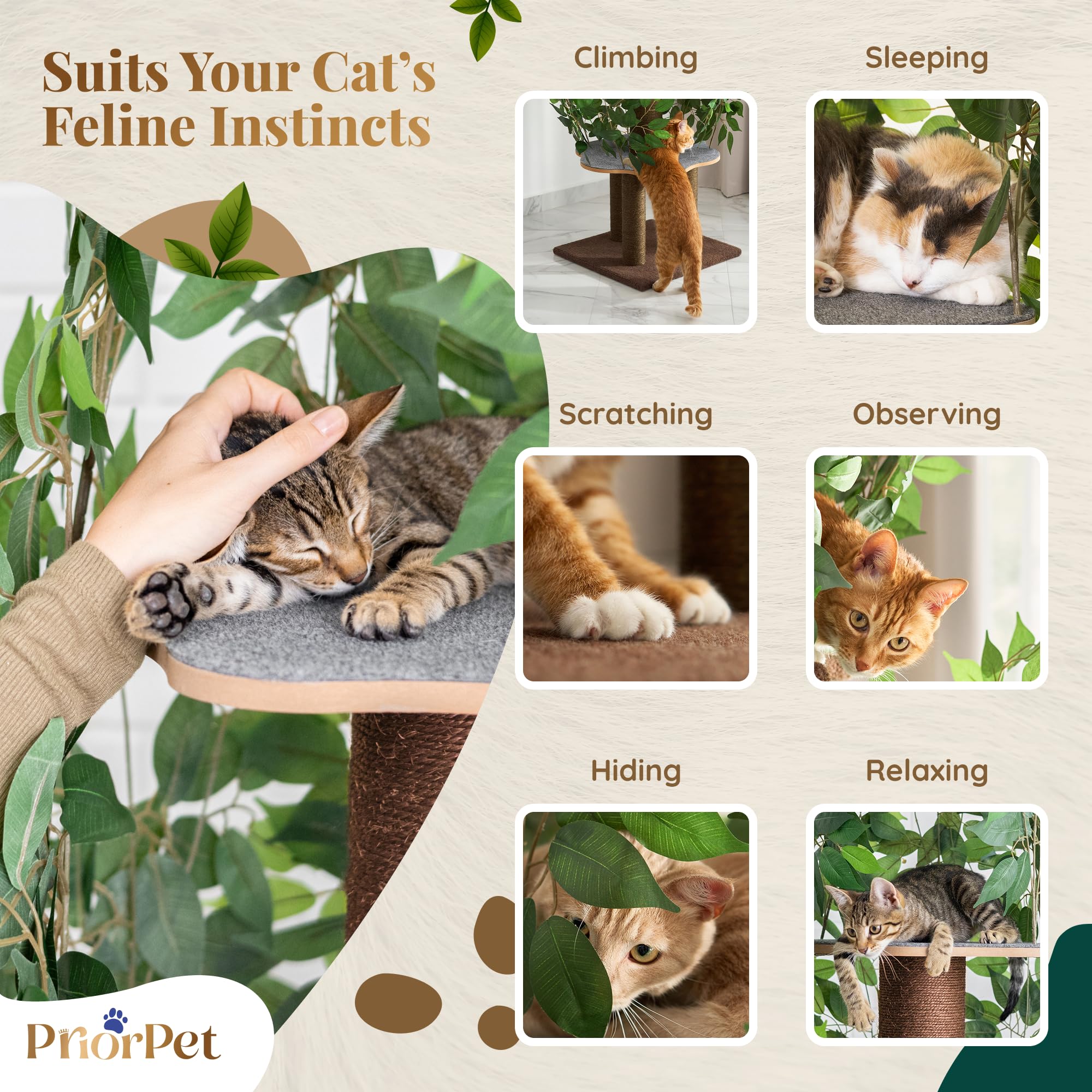 PRIORPET 63-inch-height provides vertical space for climbing and surveying the room.