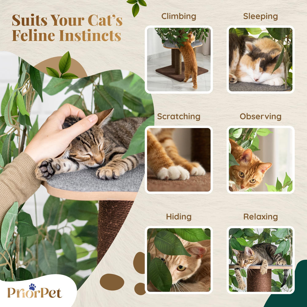 PRIORPET 63-inch-height provides vertical space for climbing and surveying the room.