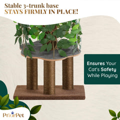 PRIORPET compact-footprint fits small spaces while offering climbing and hiding.