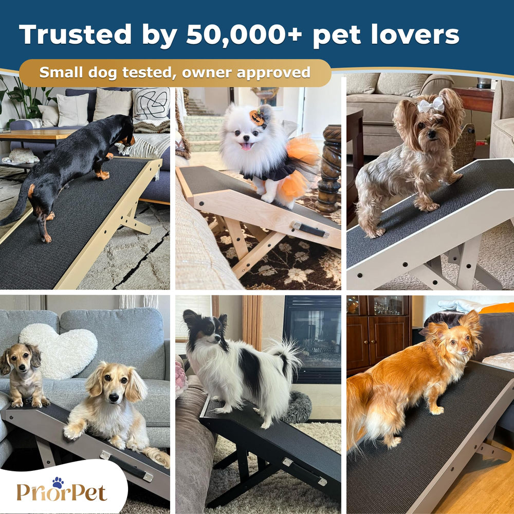 Priorpet dog ramp no-assembly saves setup time.