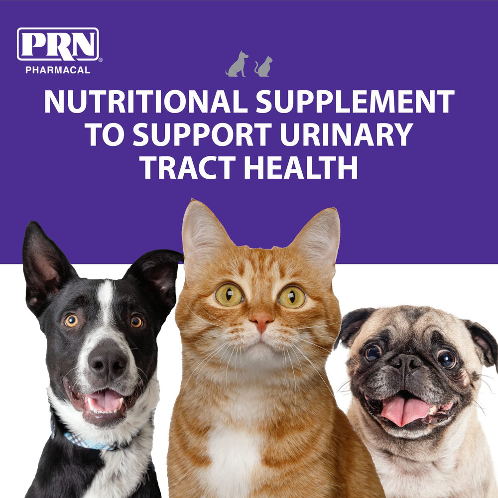 Close-up of pork liver flavor chews designed for dogs and cats.