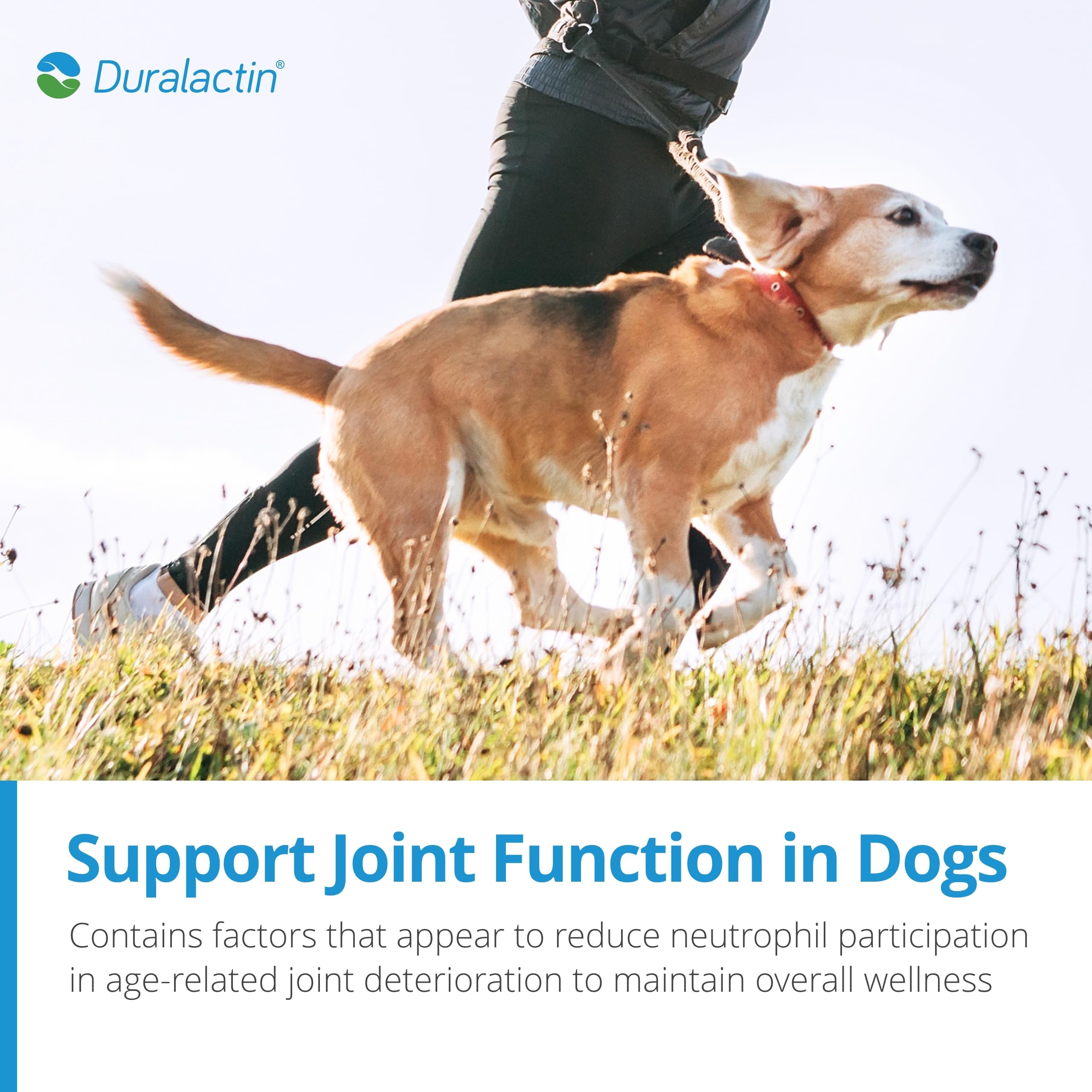 MicroLactin ingredient in PRN Duralactin promotes long-term mobility.
