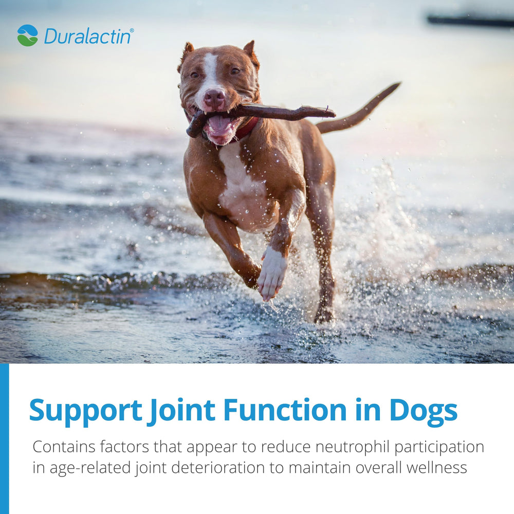 PRN Pharmacal Duralactin dog chews serving dish shows daily use.