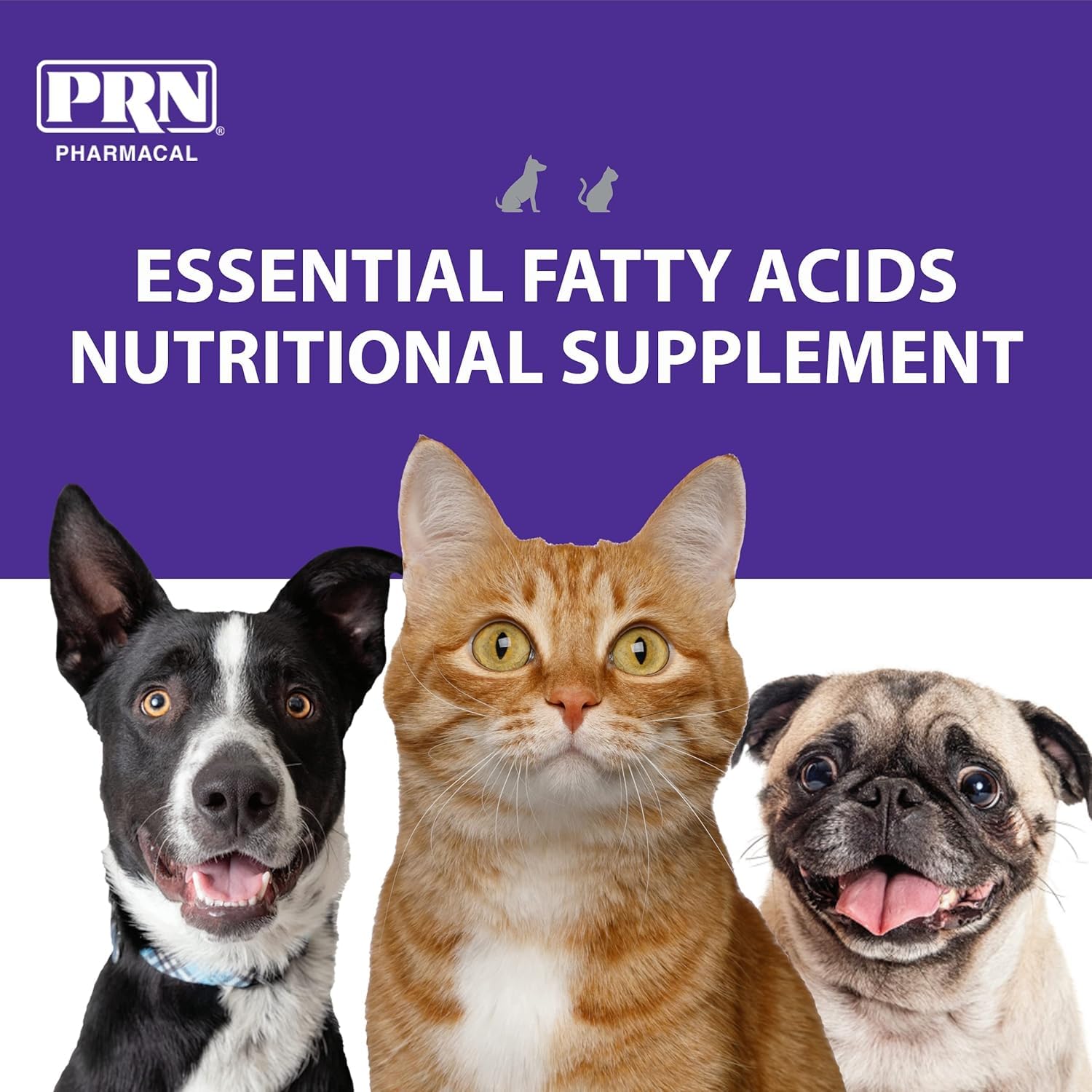 PRN OPTIMA 365 dog serving with meals for easy administration.