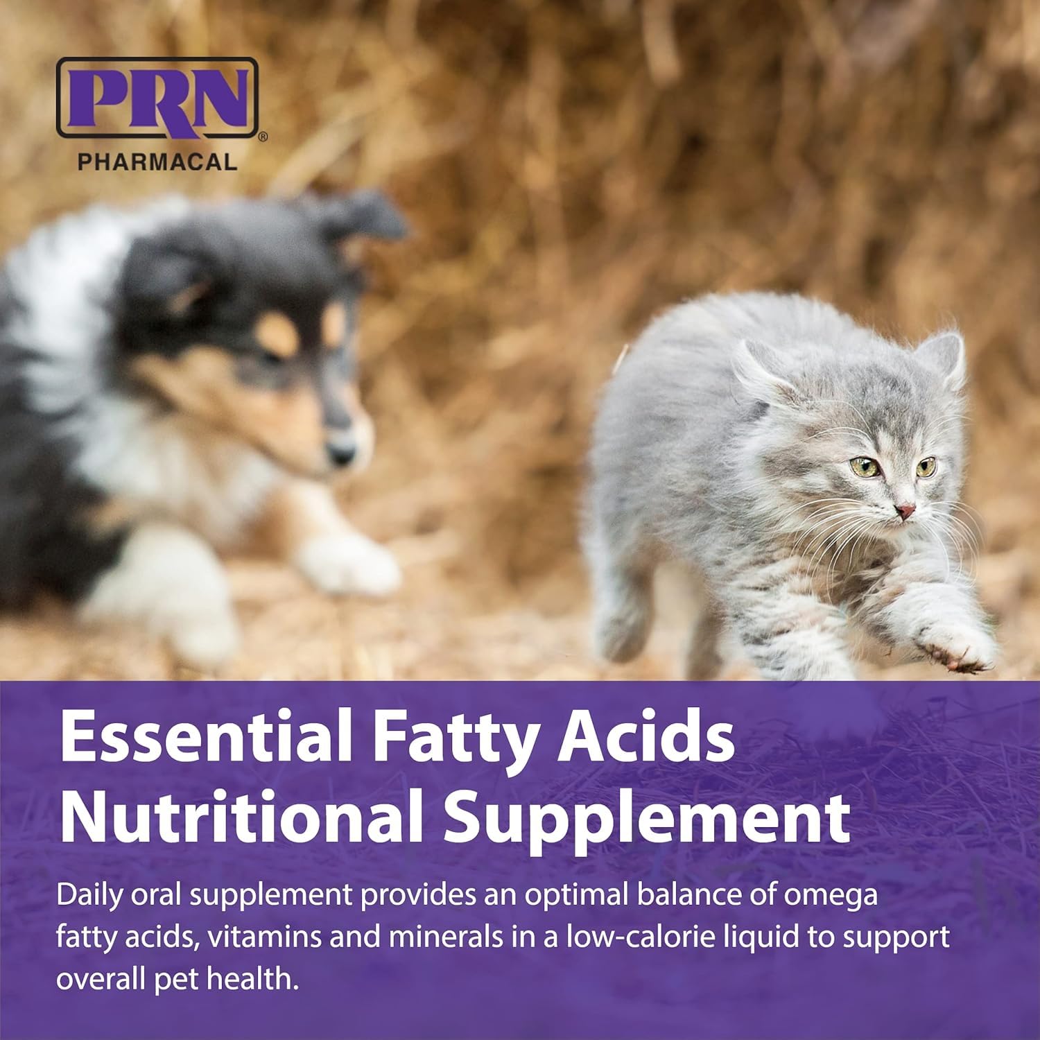 PRN OPTIMA 365 skin and coat health focus for healthier fur.