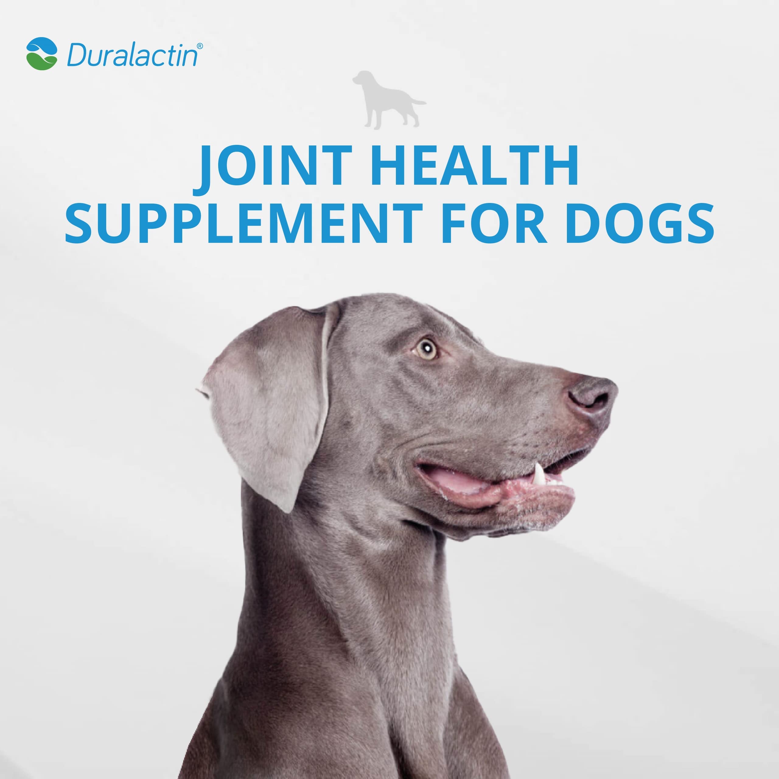 PRN Duralactin chews, chicken-liver flavor, ready for daily use.