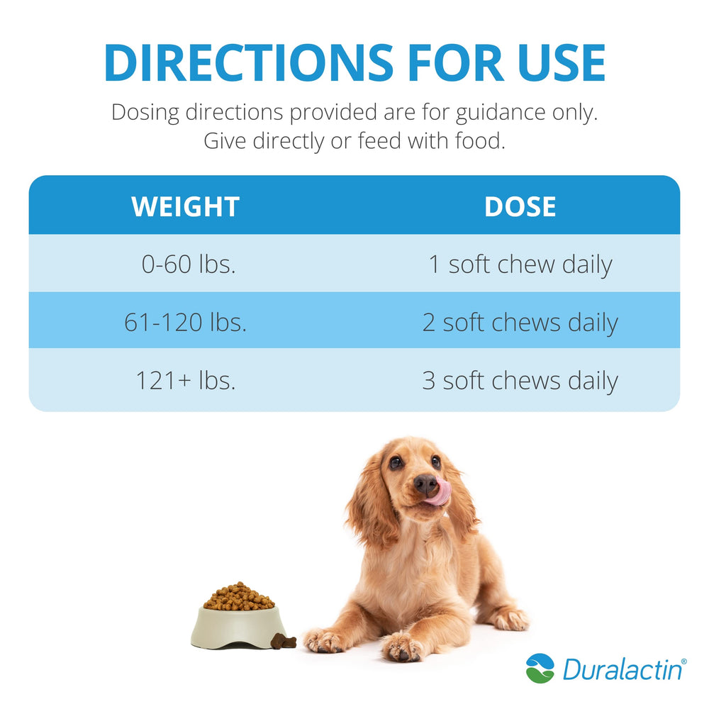 Dog walking after chews shows potential daily mobility with PRN Duralactin.