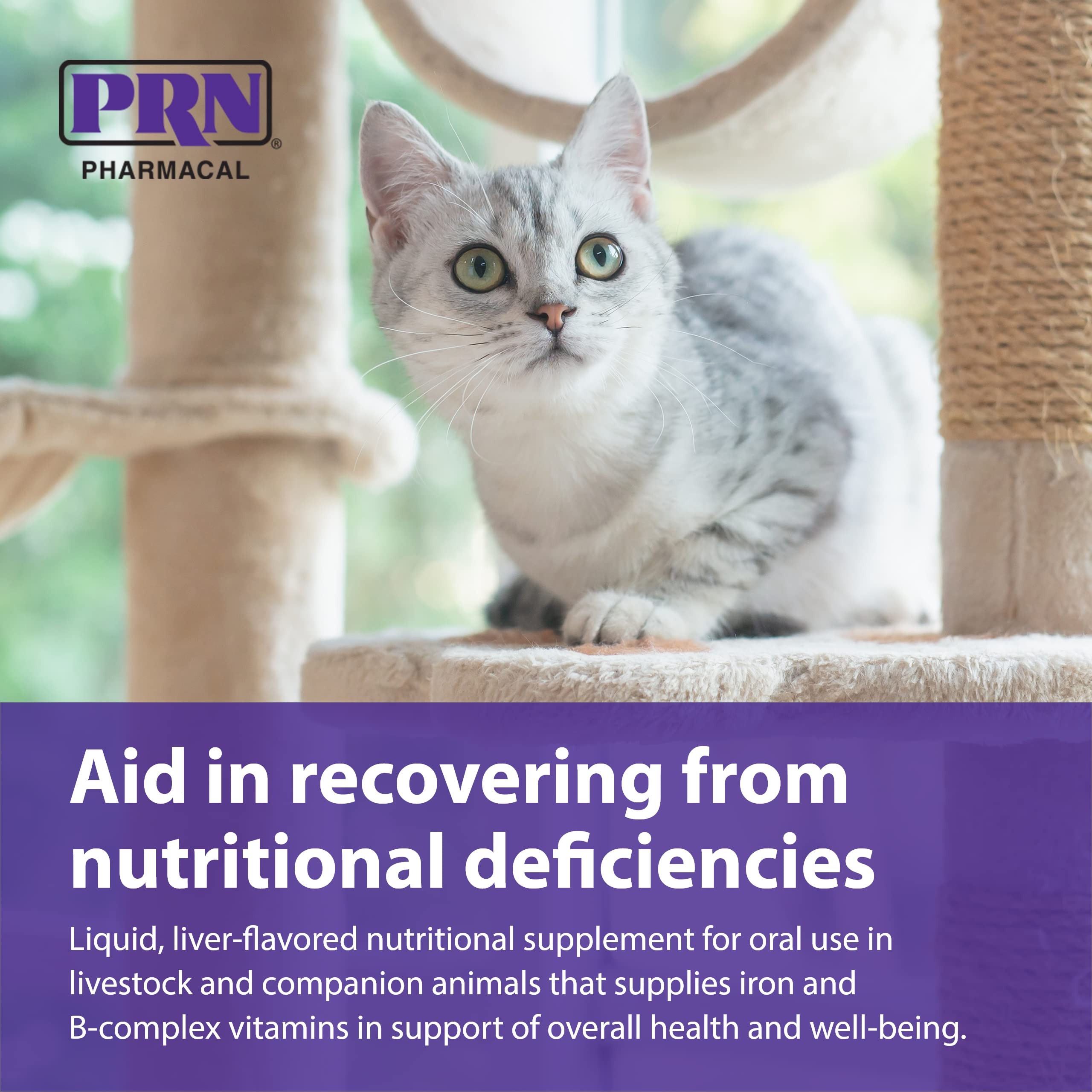 PRN Liqui-Tinic 4X pet-dosing scene emphasizes simple daily use