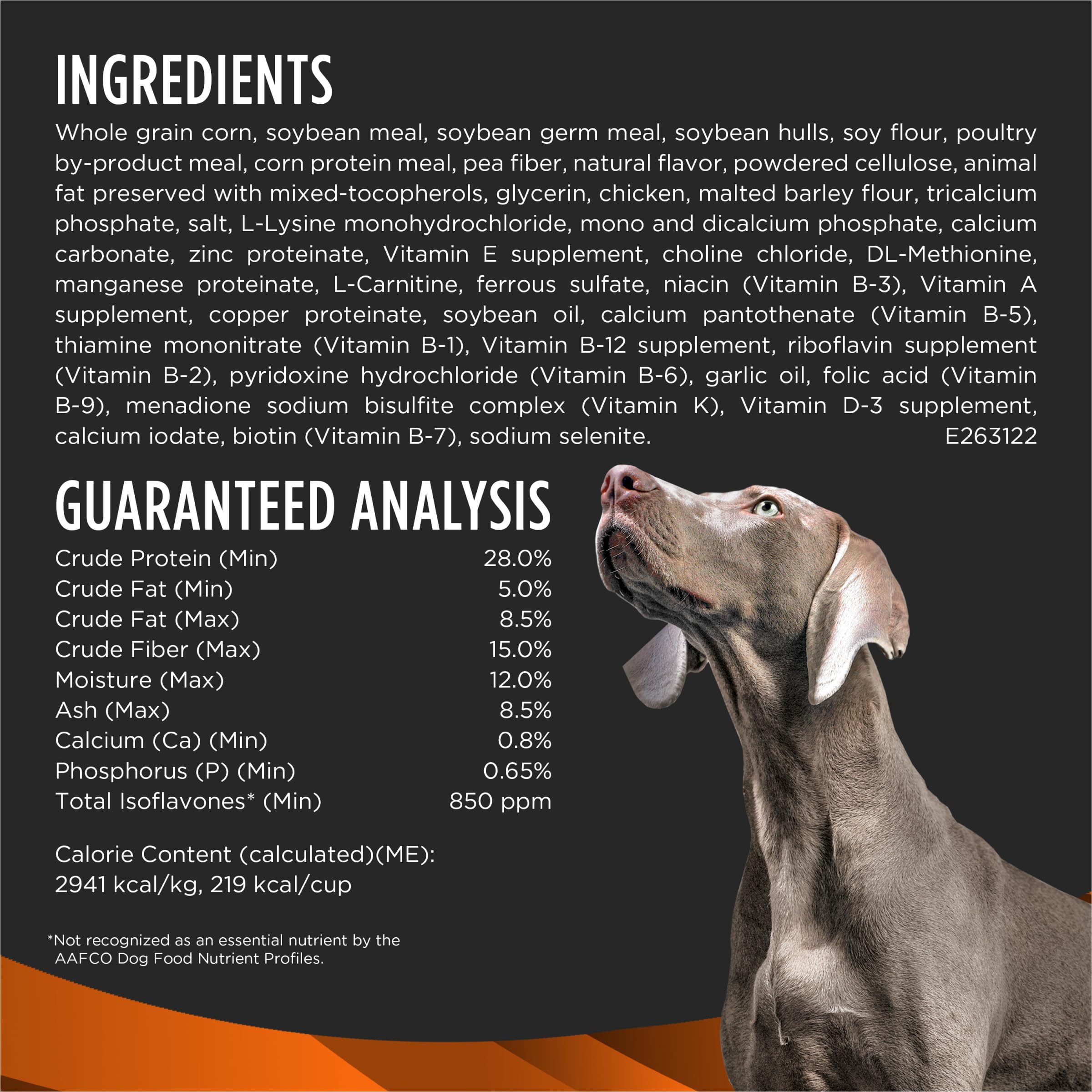 Dog meal bowl with Pro Plan OM Select Blend kibble showing portion-controlled feeding