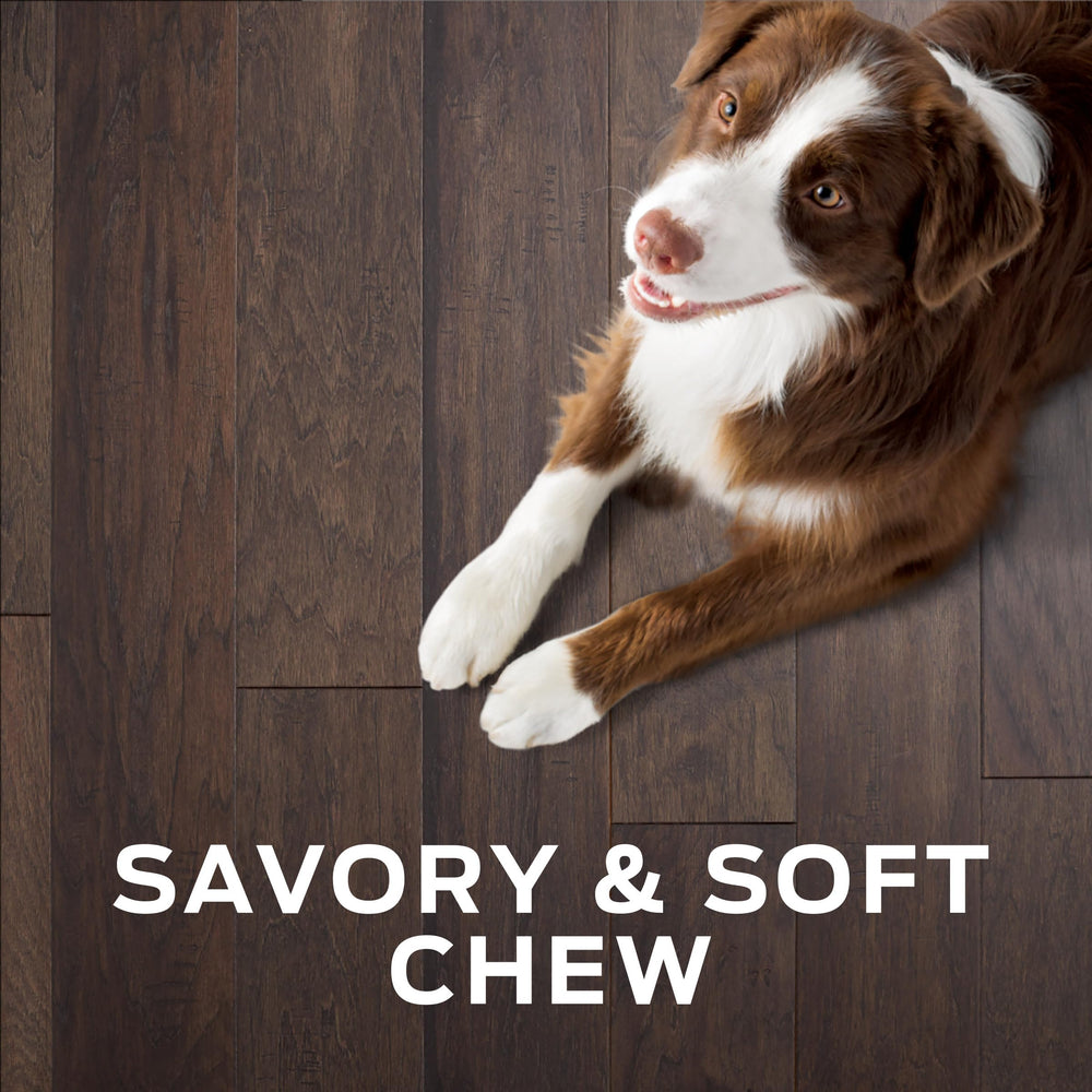 Pro Plan Digestive Health Bites are tasty gut health treats for dogs