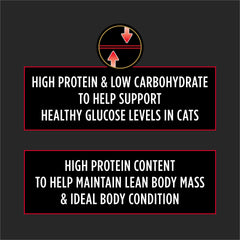 Purina Pro Plan Veterinary Diets DM 6 lb bag dry cat food packaging
