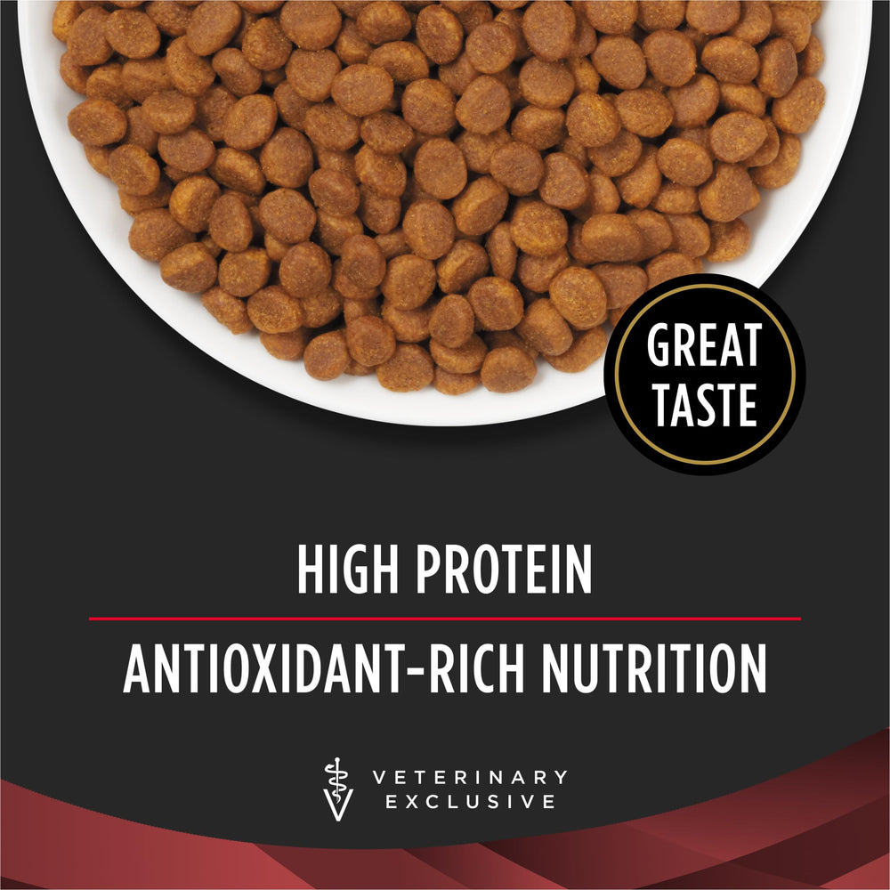 Purina Pro Plan Veterinary Diets DM low carbohydrate profile for glucose balance