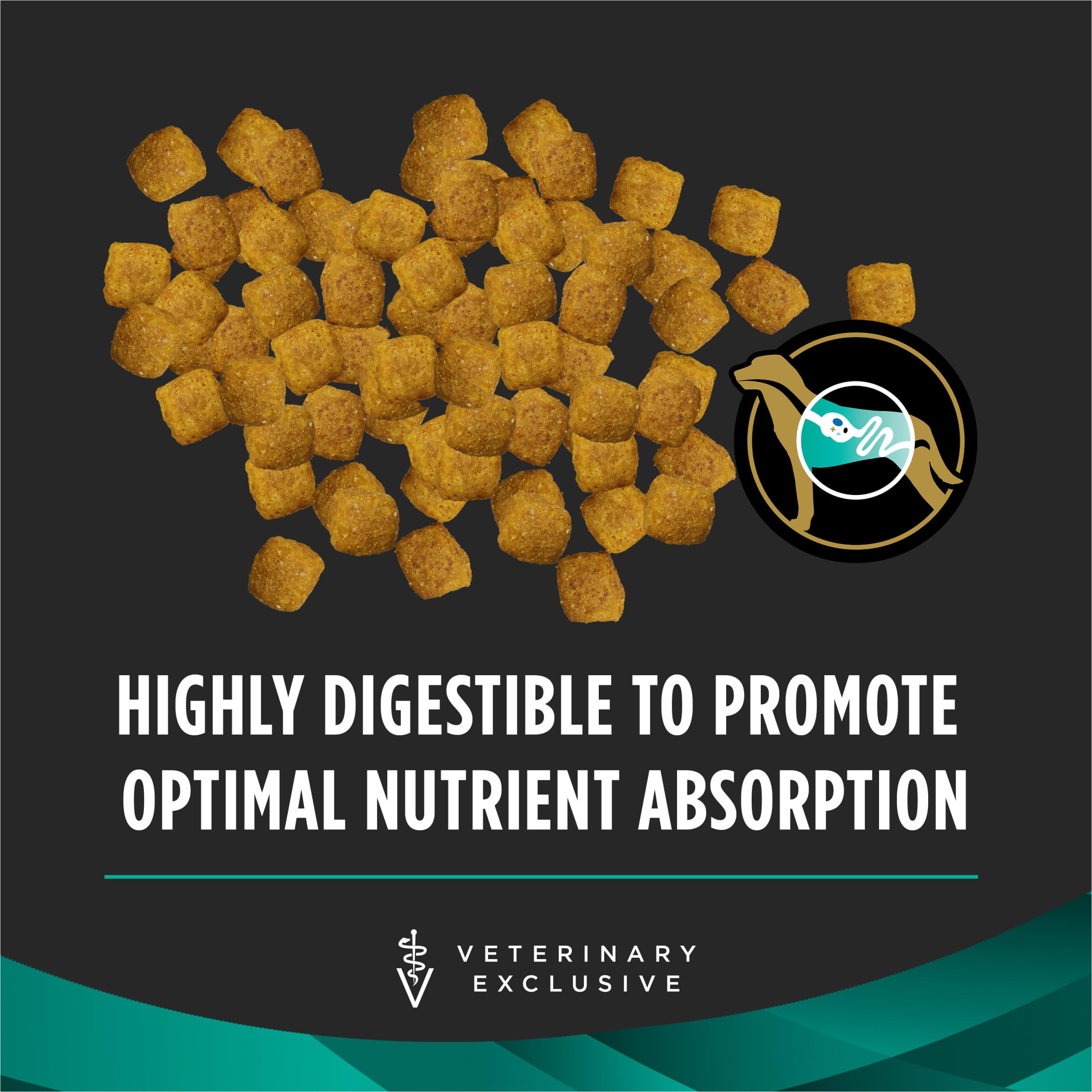 Pro Plan EN Gastroenteric high-quality protein powered formula closeup