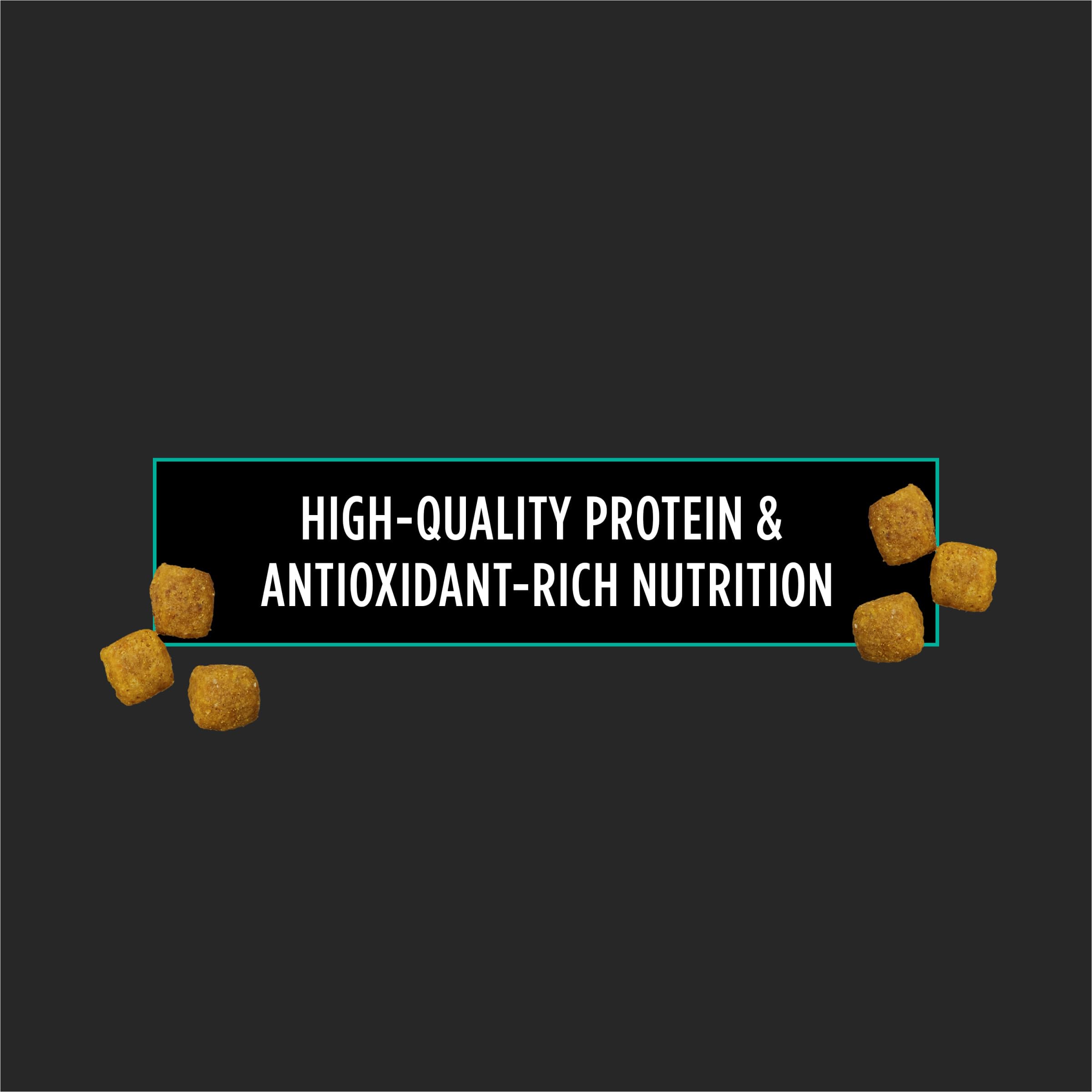 Pro Plan EN Gastroenteric kibble closeup highlighting texture and digestible formula