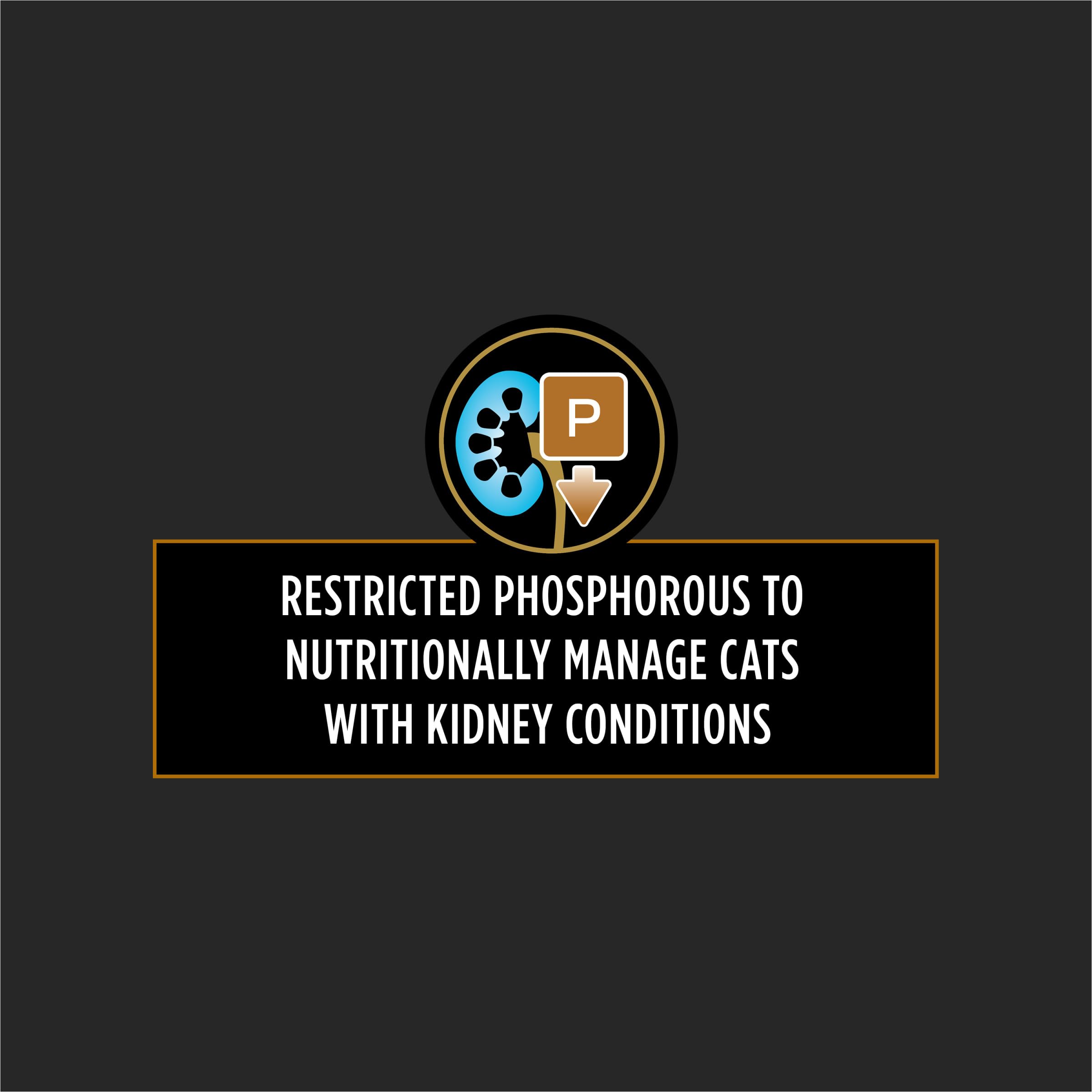 Cans label shows NF Kidney Function Advanced Care for cats