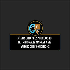 Cans label shows NF Kidney Function Advanced Care for cats