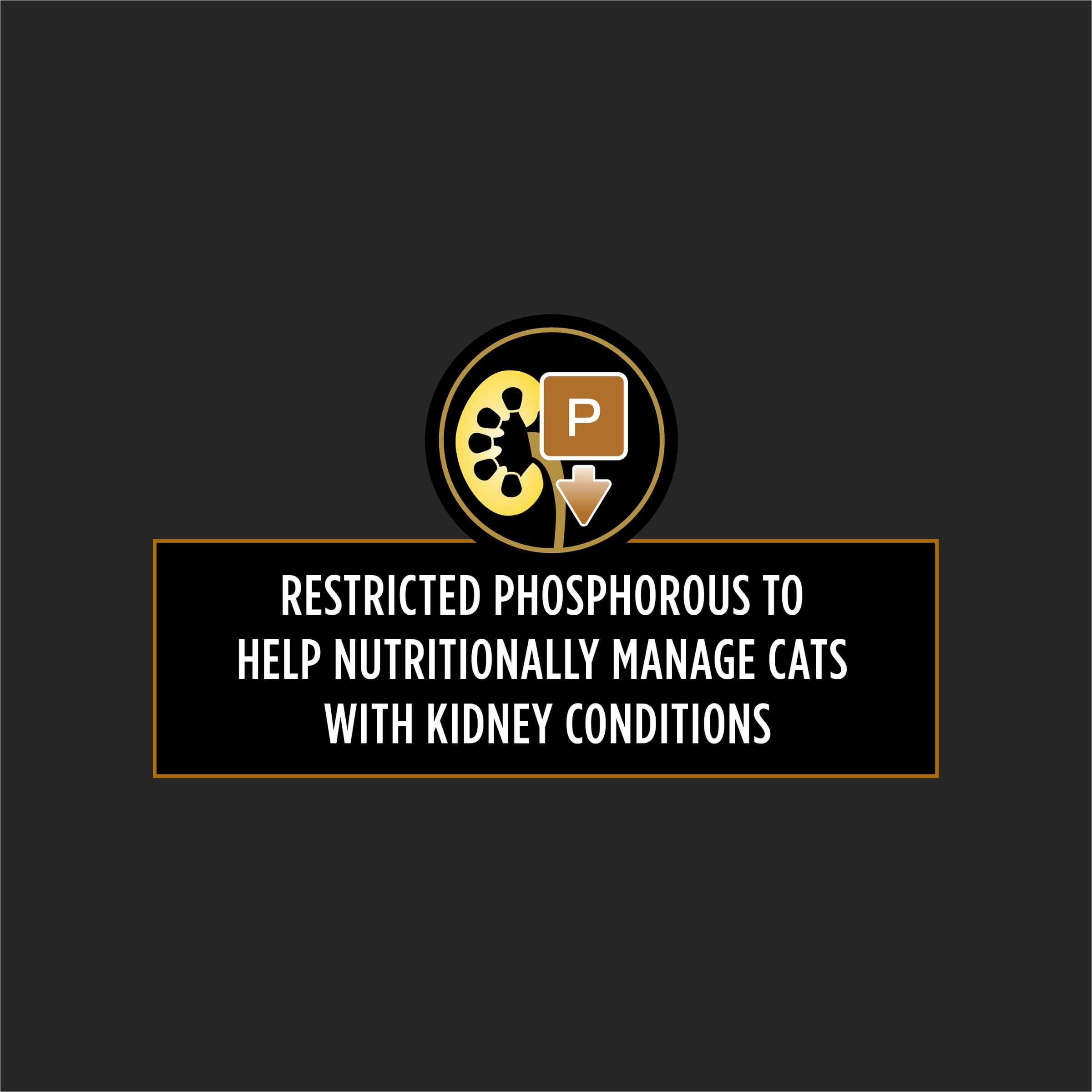 Purina Pro Plan NF pate serving in a bowl showcases appetizing texture for cats.