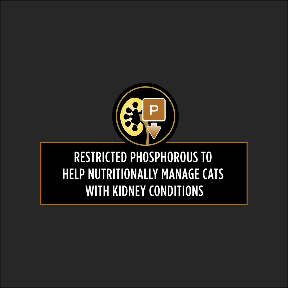 Purina Pro Plan NF pate serving in a bowl showcases appetizing texture for cats.