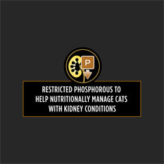 Purina Pro Plan NF pate serving in a bowl showcases appetizing texture for cats.