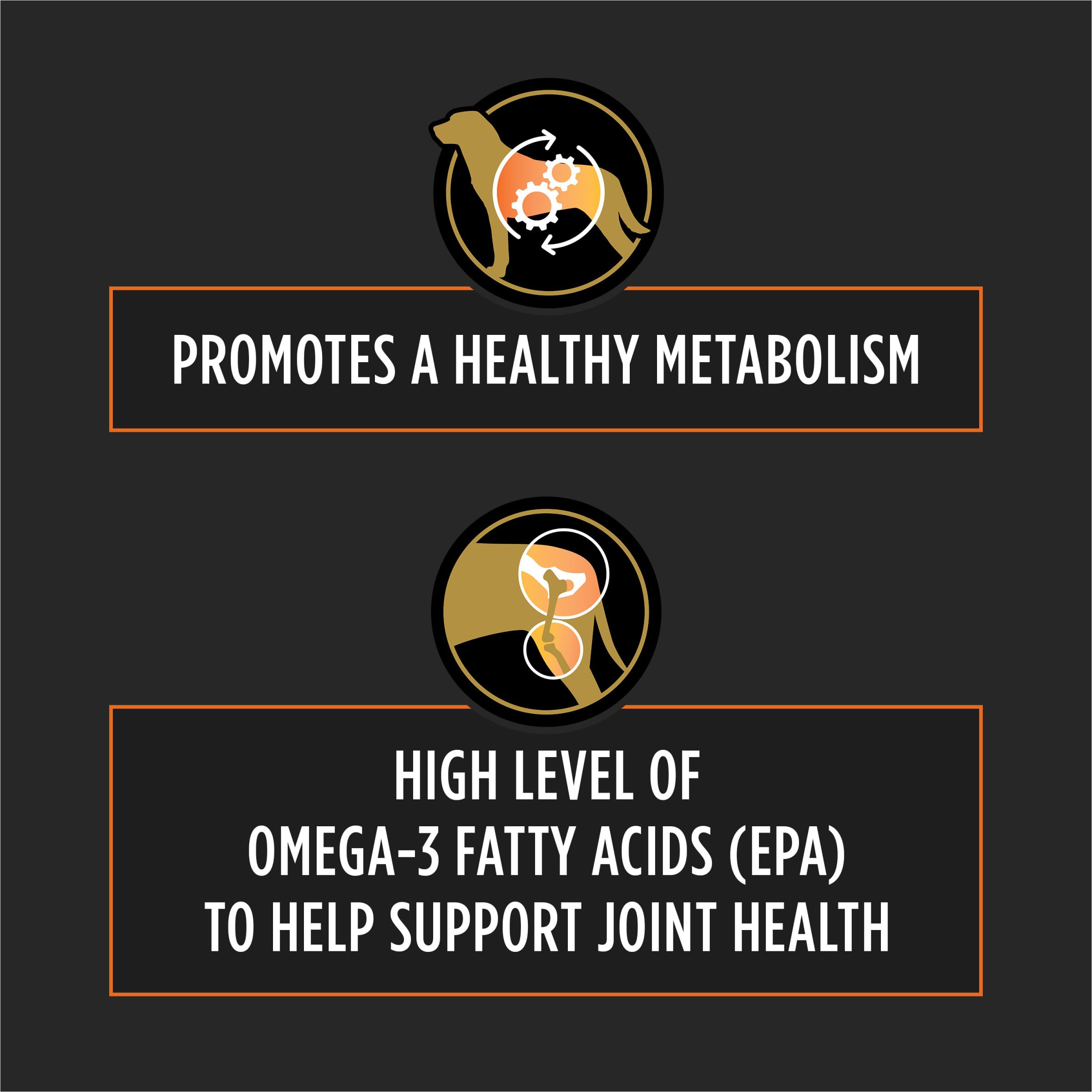Pro Plan OM Metabolic Response Plus Joint Mobility kibble closeup reveals texture and omega-3 rich blend