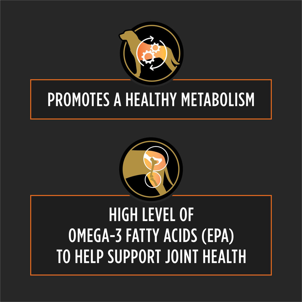 Pro Plan OM Metabolic Response Plus Joint Mobility kibble closeup reveals texture and omega-3 rich blend