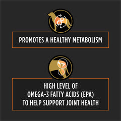 Pro Plan OM Metabolic Response Plus Joint Mobility kibble closeup reveals texture and omega-3 rich blend