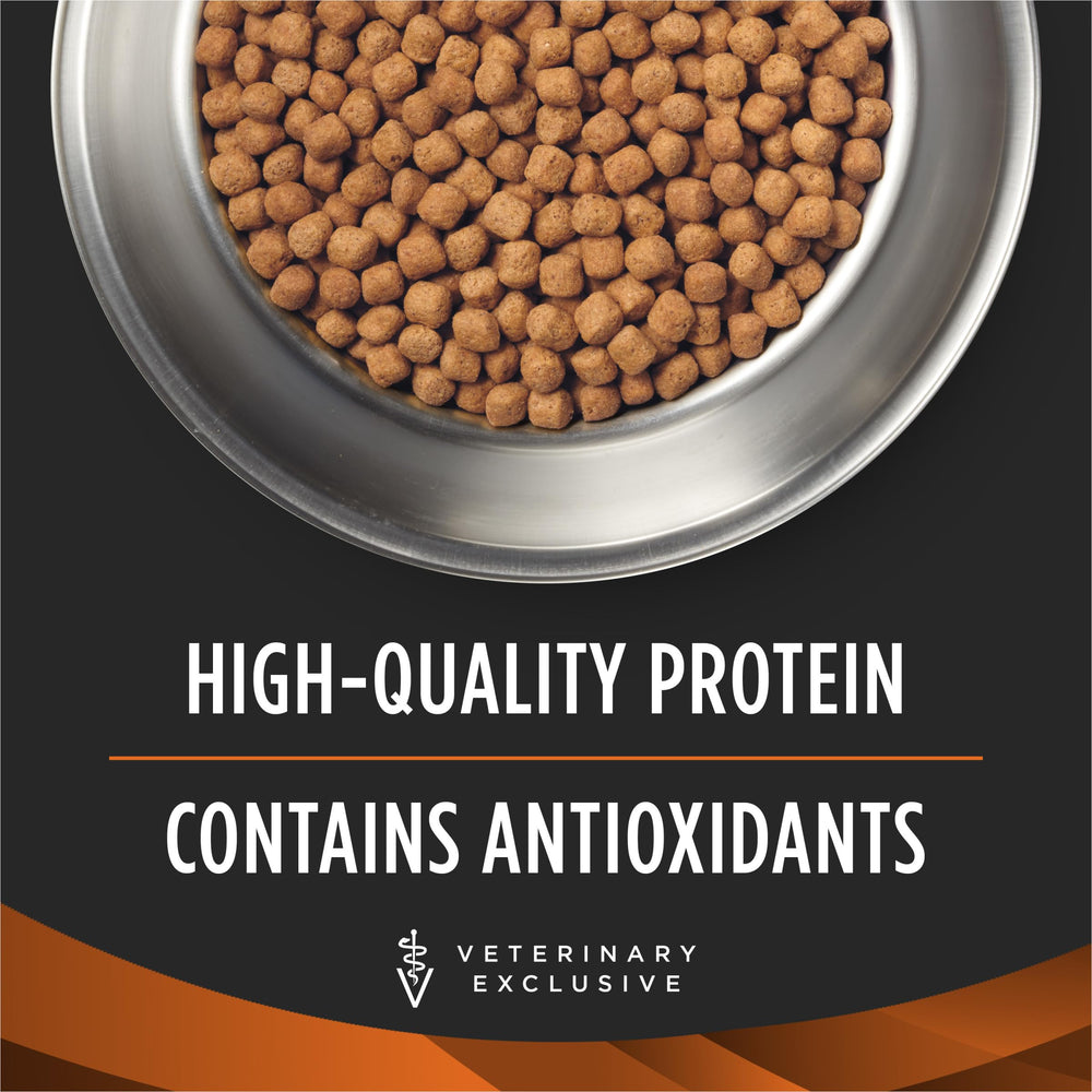 Pro Plan OM Metabolic Response Plus Joint Mobility kibble texture closeup shows high-protein morsels