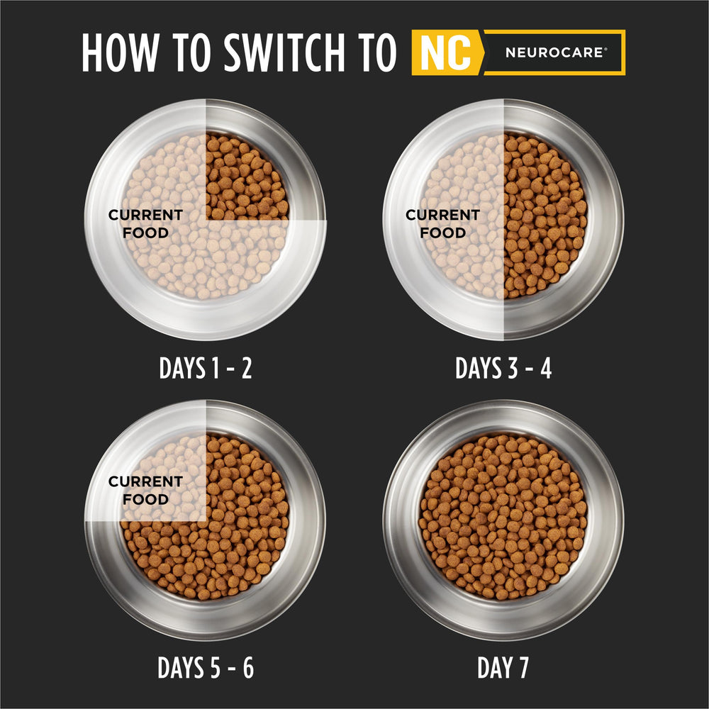 Six-pound bag and serving cues illustrate portion control and daily feeding practicality
