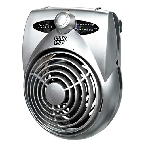 Pro Select Cool Pup Crate Fan thermometer display for ambient temperature
