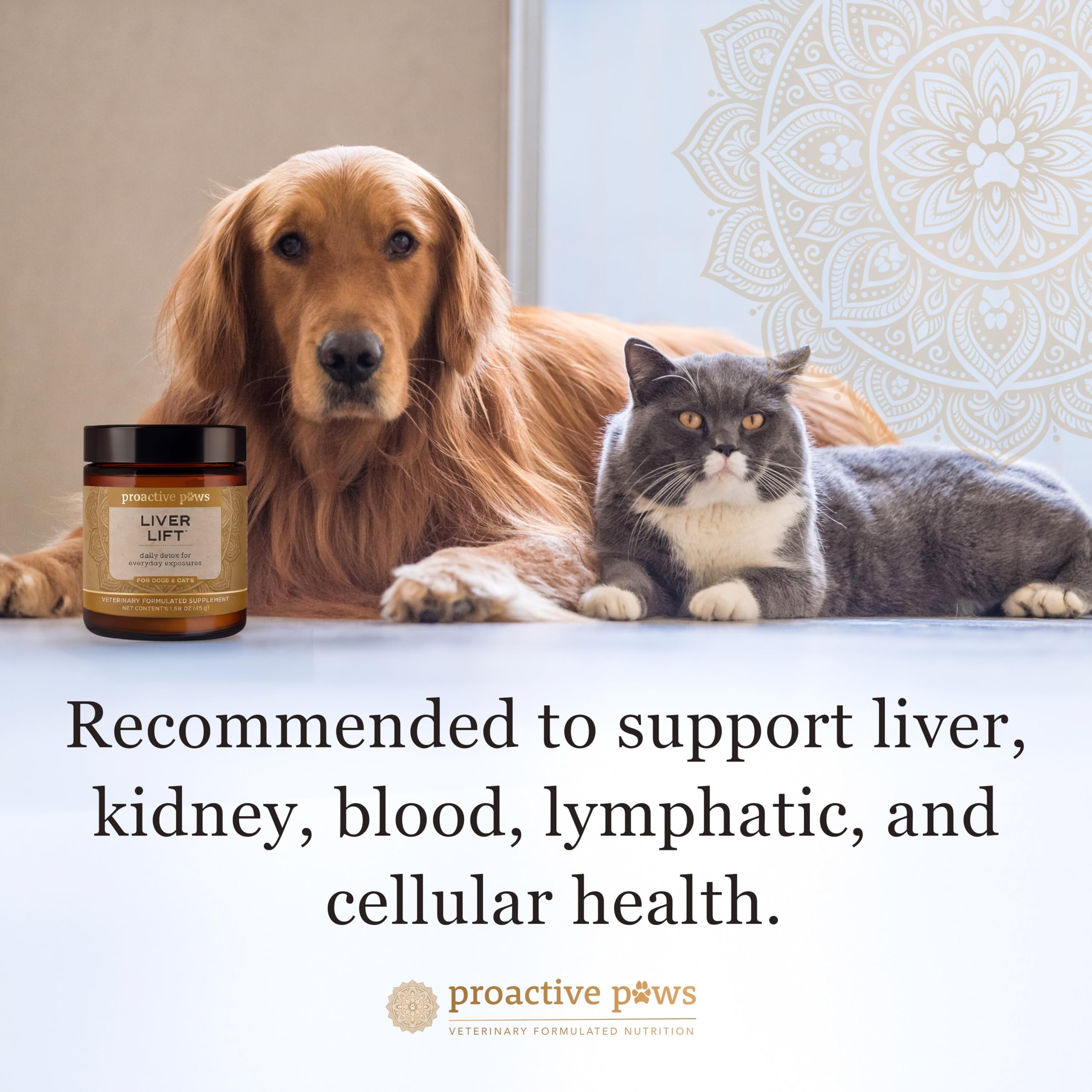 Proactive Paws Liver Lift bottle and label emphasizing veterinary formula