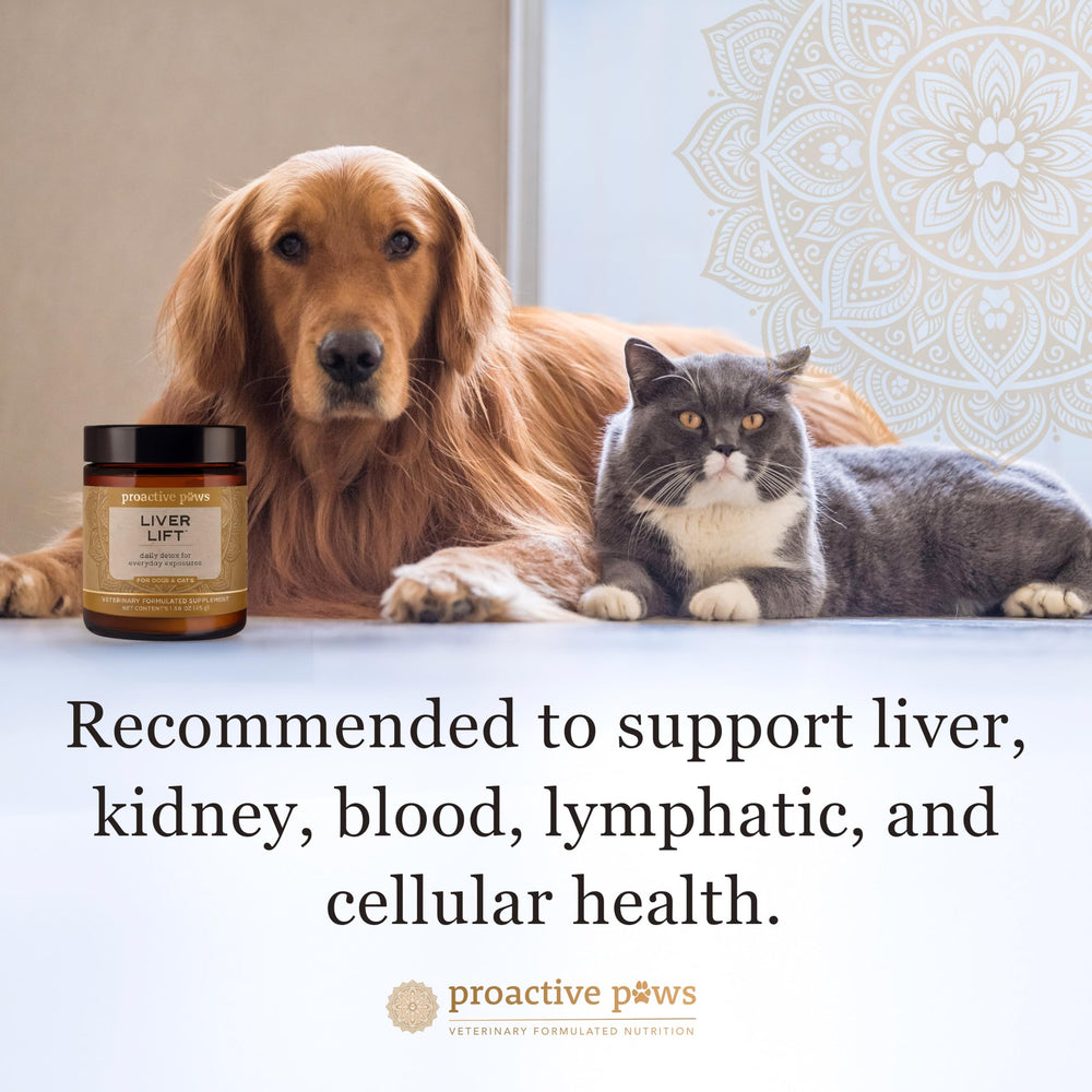 Proactive Paws Liver Lift bottle and label emphasizing veterinary formula