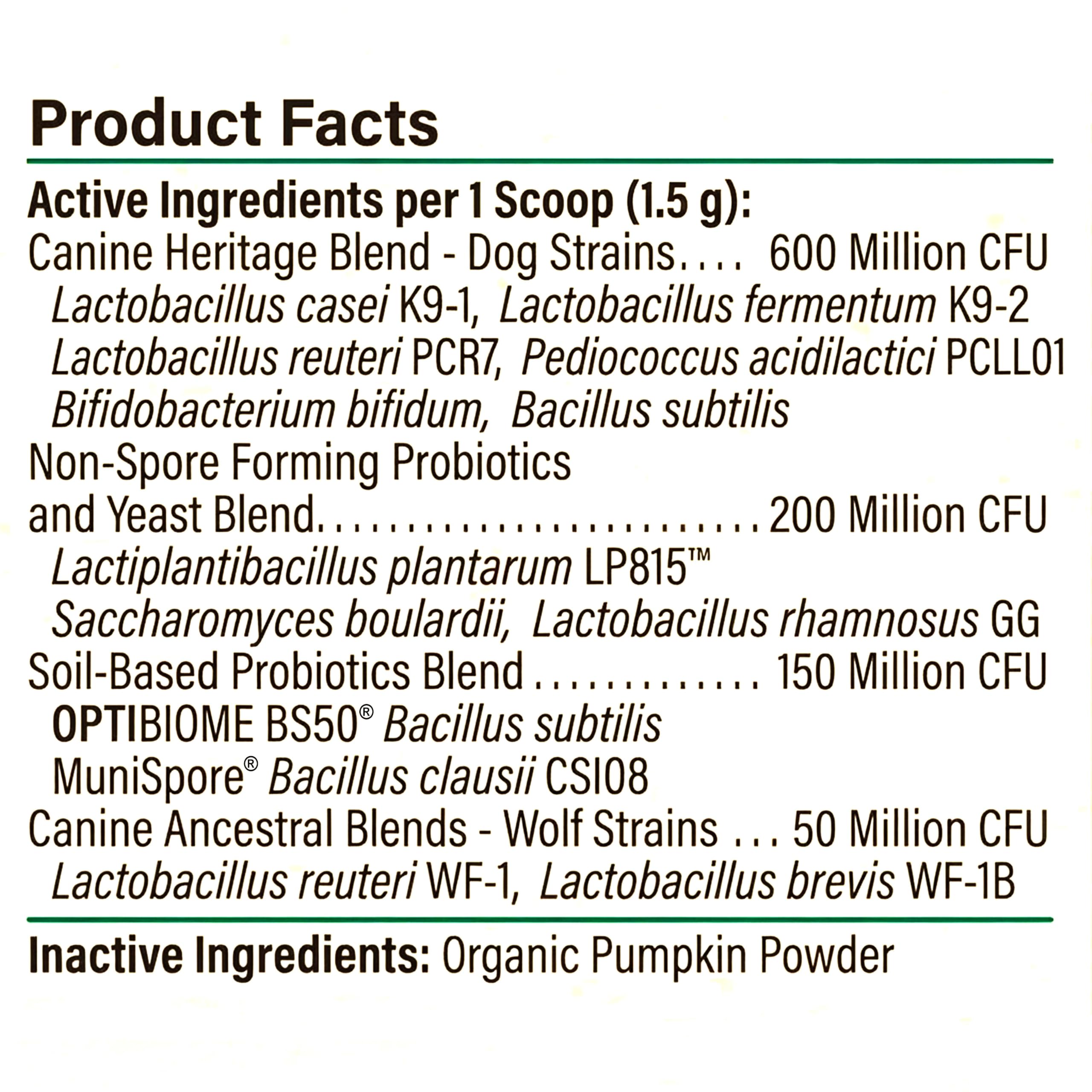Organic pumpkin fiber visible in Proactive Paws formula for digestive support