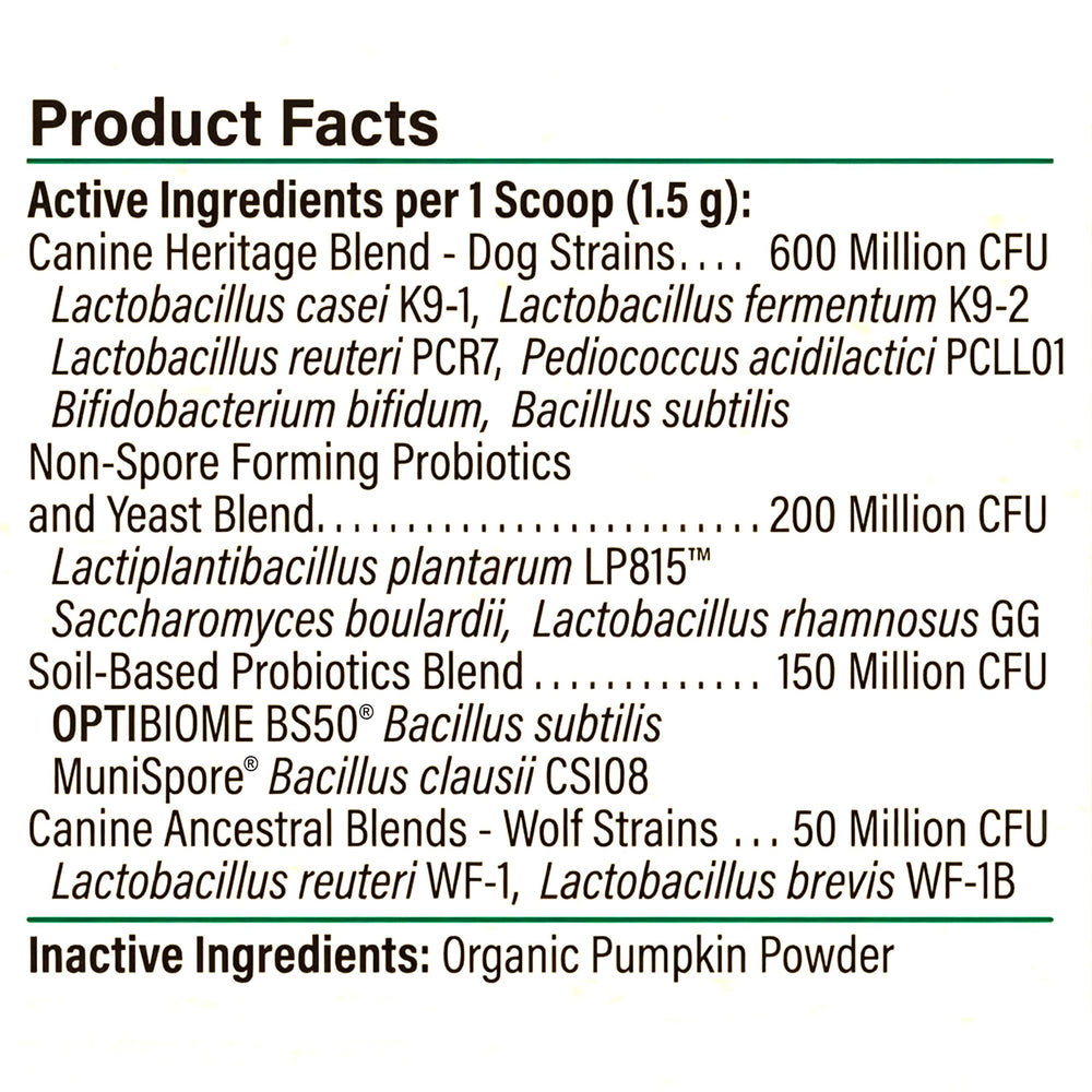 Organic pumpkin fiber visible in Proactive Paws formula for digestive support