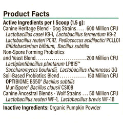 Organic pumpkin fiber visible in Proactive Paws formula for digestive support