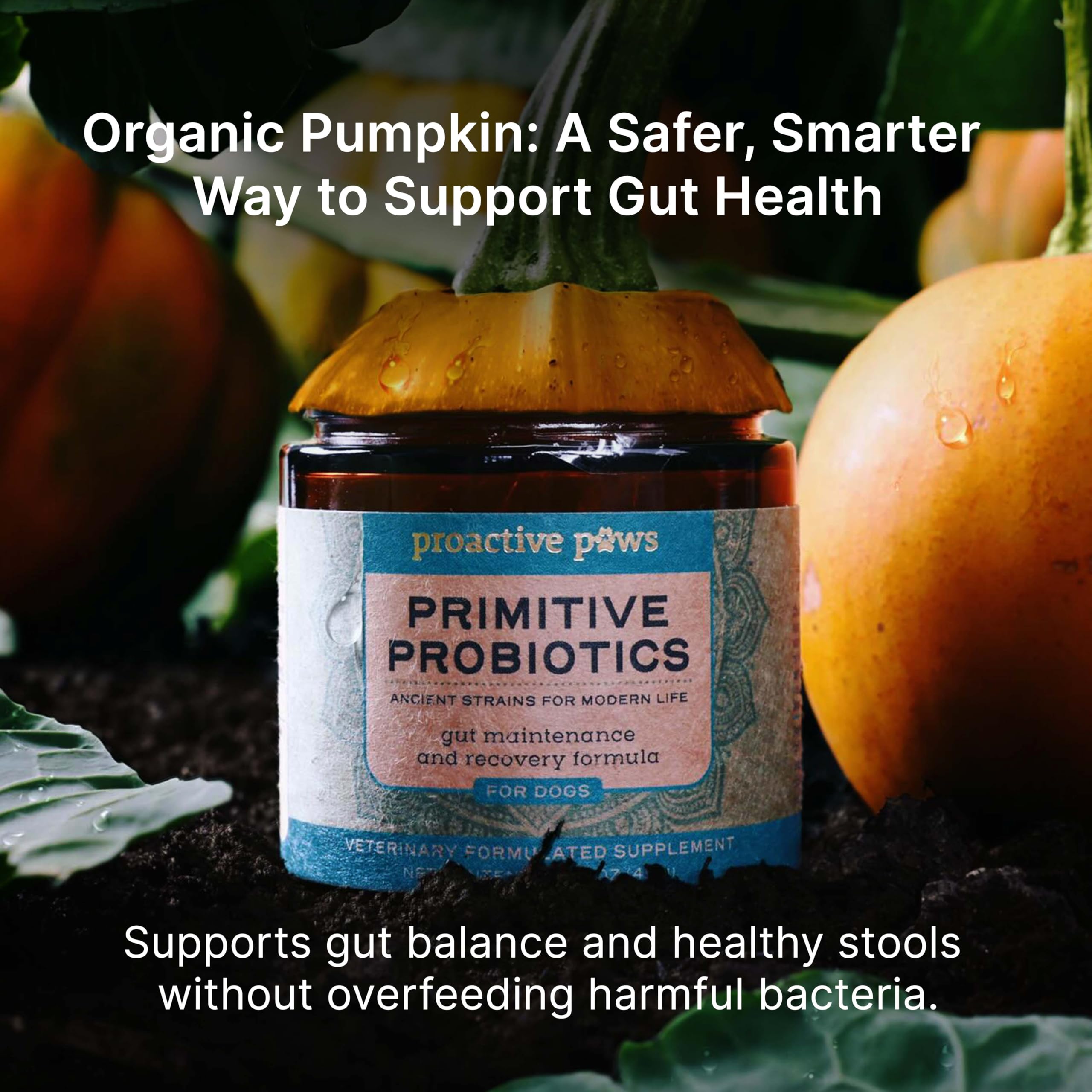 Triple ecosystem formulation imagery for Proactive Paws dog probiotics