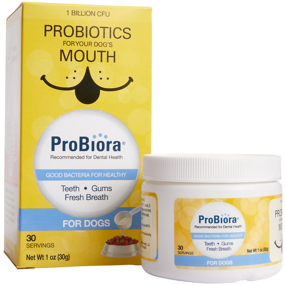 Probiora for Dogs dog with a content expression signaling fresher breath.