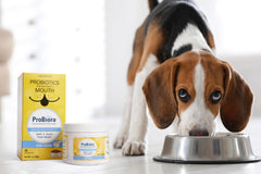 Probiora for Dogs powder texture closeup showing a freeze-dried formula.