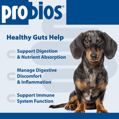 Probios Dog Soft Chews multi-strain probiotic view showing 5 million CFU per chew.