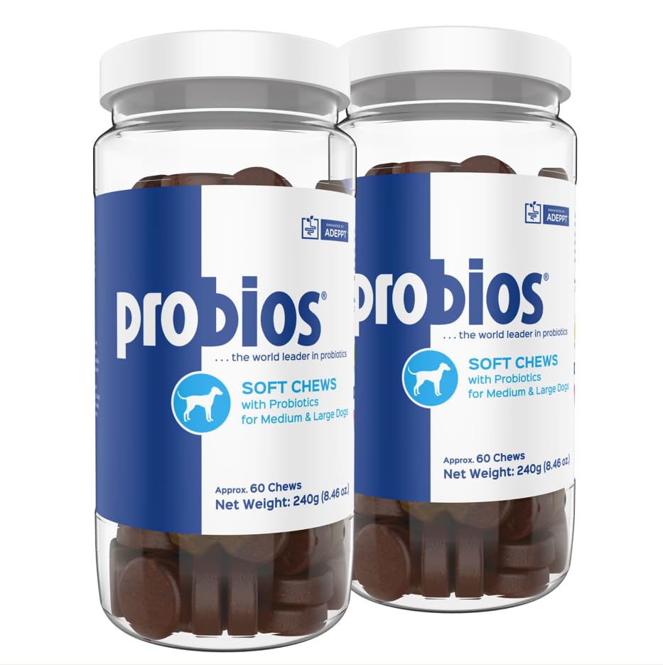 Probios for Dogs Soft Chews bottle closeup promoting daily gut health.