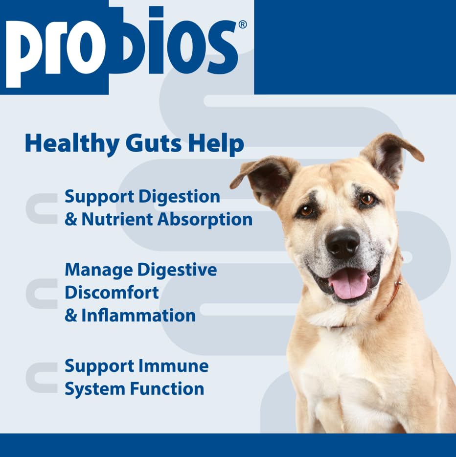 Probios for Dogs Soft Chews close-up of chews showcasing chicken liver flavor.