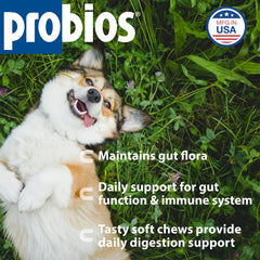 Close-up of Probios Dog Soft Chews with chicken liver flavor for gut balance.