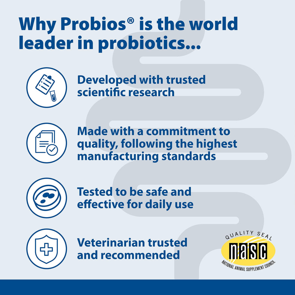 Happy dog accepting Probios chew during travel for gentle support.
