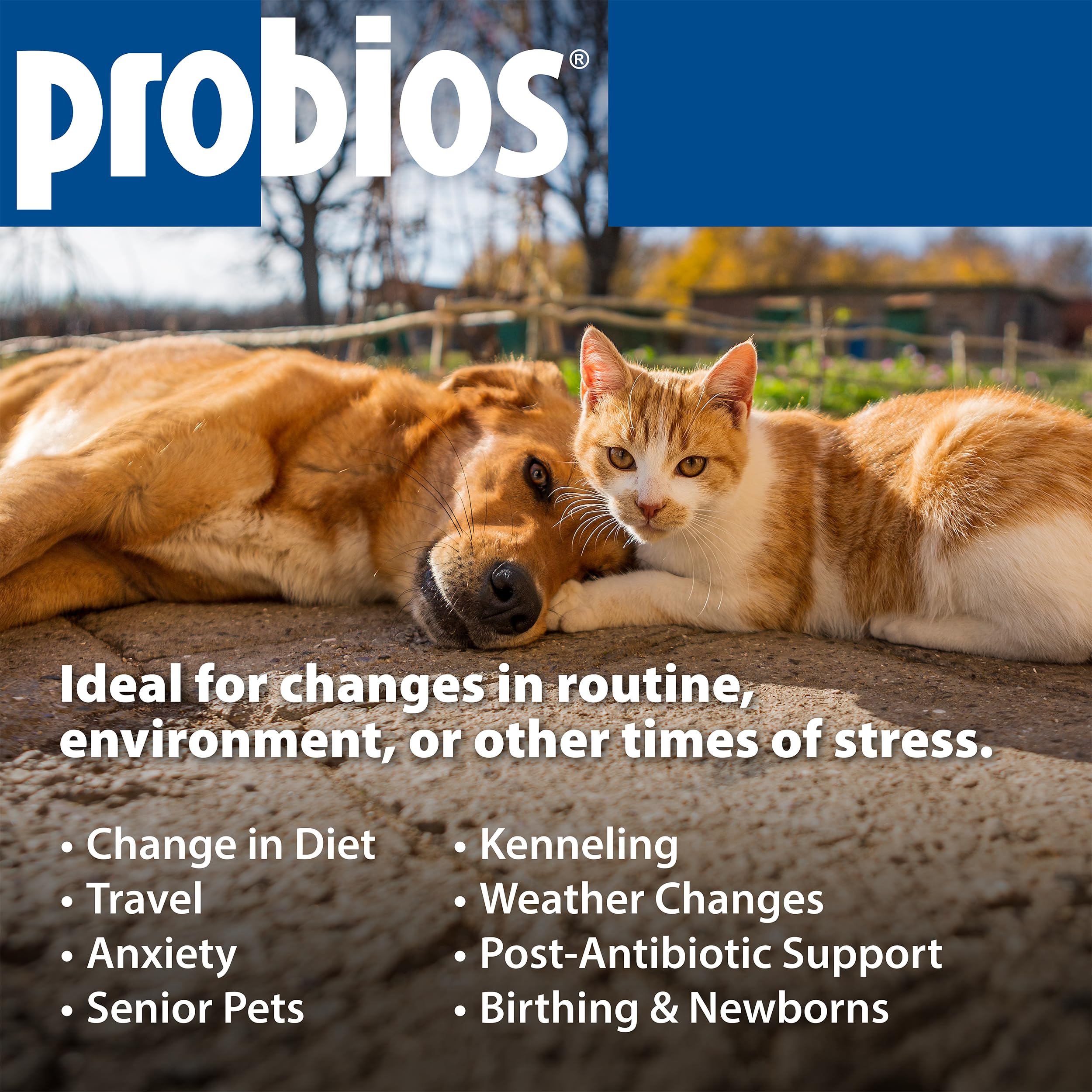 NASC-certified facility label on Probios packaging ensuring quality standards.