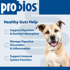 Probios for Dogs Soft Chews treats in dog bowl with chicken liver flavor.