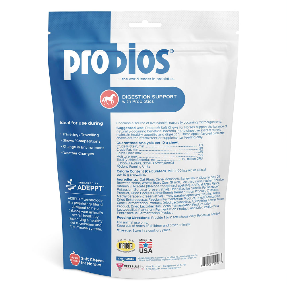 Horse enjoying Probios for Horses soft chews during feeding