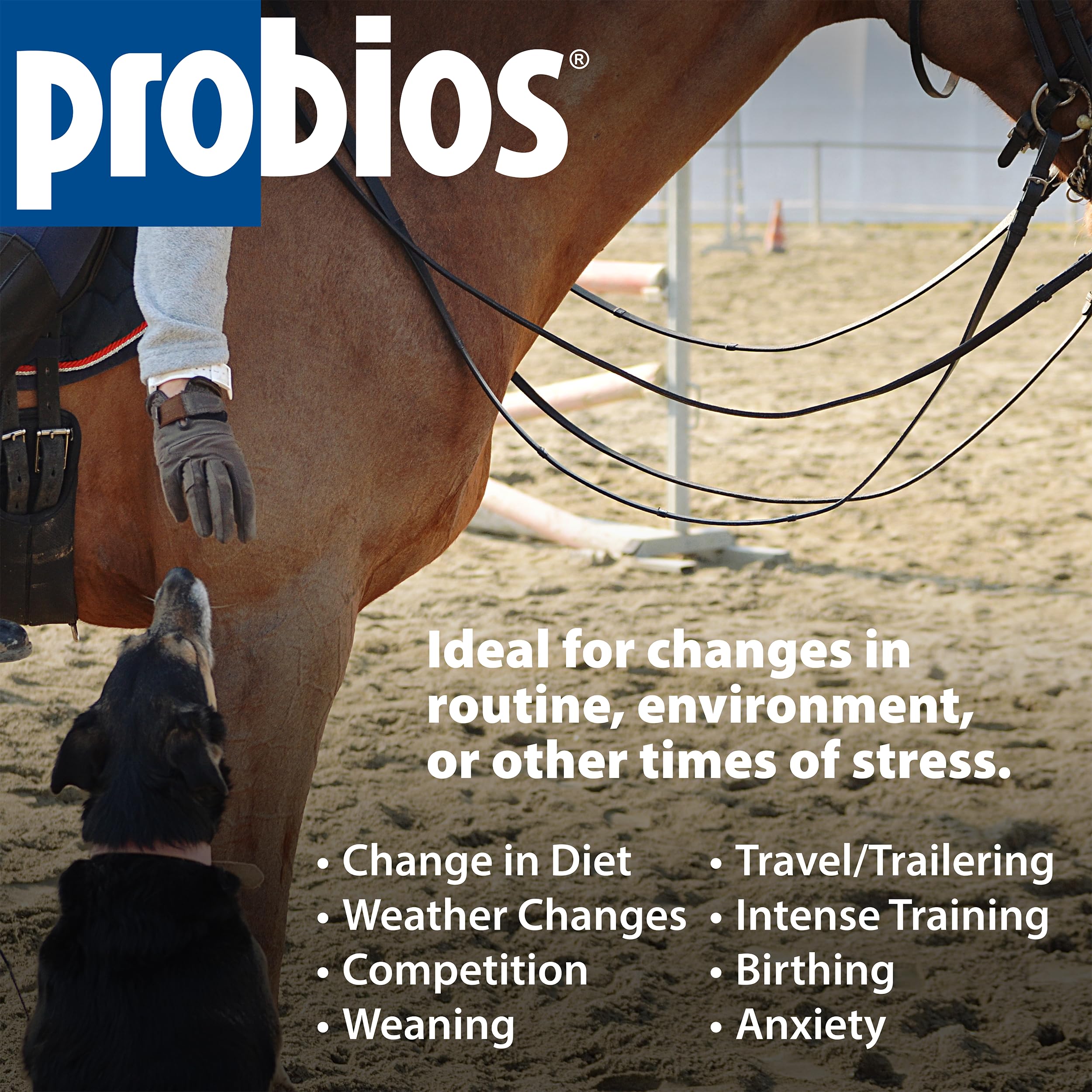 Label on Probios for Horses highlights multi-strain probiotic blend for gut support