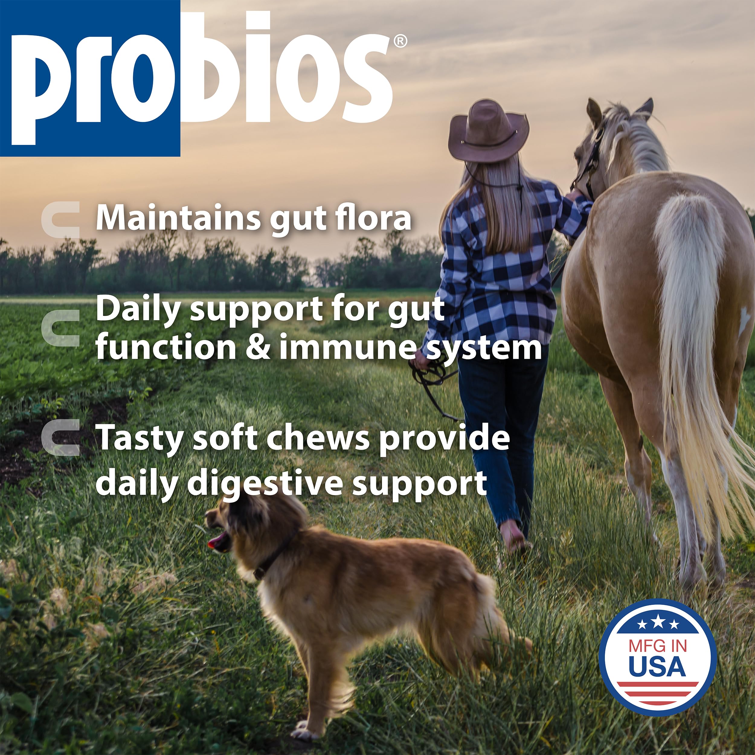 Close-up of Probios for Horses soft chews texture highlighting apple flavor for easy administration