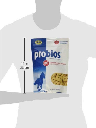 Probios probiotic horse treats apple flavor close-up, supports digestive balance.